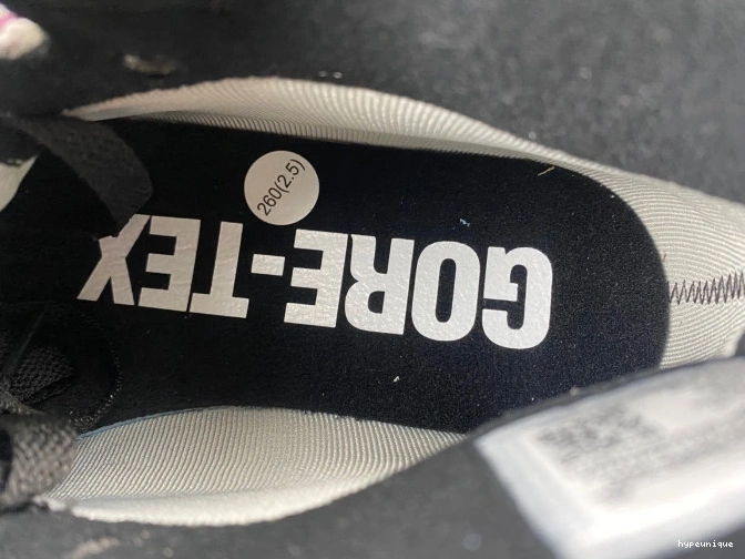 HYPE Jordan Element Air DB2889-500 1 Gore-Tex 0707